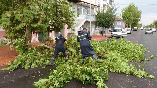 Malatya&rsquo;da şiddetli fırtına ağa&ccedil;ları devirdi, iş yerlerinin camları patladı 2