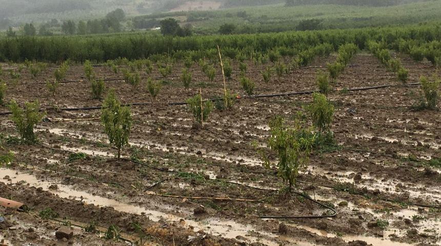Bilecik'in köylerinde dolu ve şiddetli rüzgar zararı
