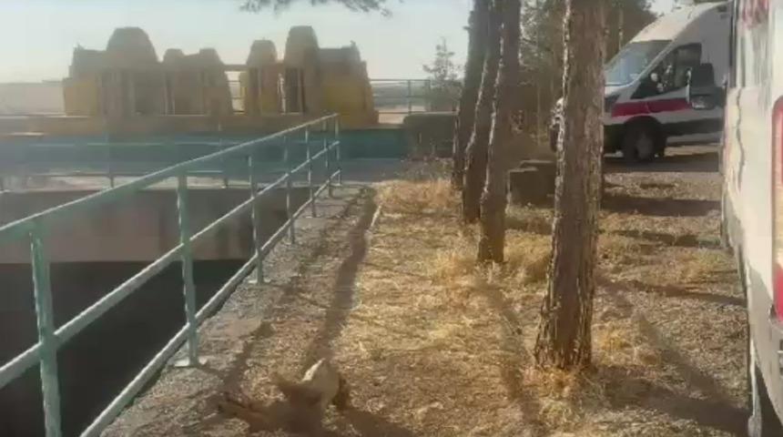 Suda hareketsiz halde fark edildi: Ekipler alarma ge&ccedil;ti