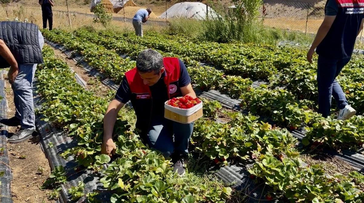 Olmaz denilen yerde fışkırdı: Parası çok iyi 1