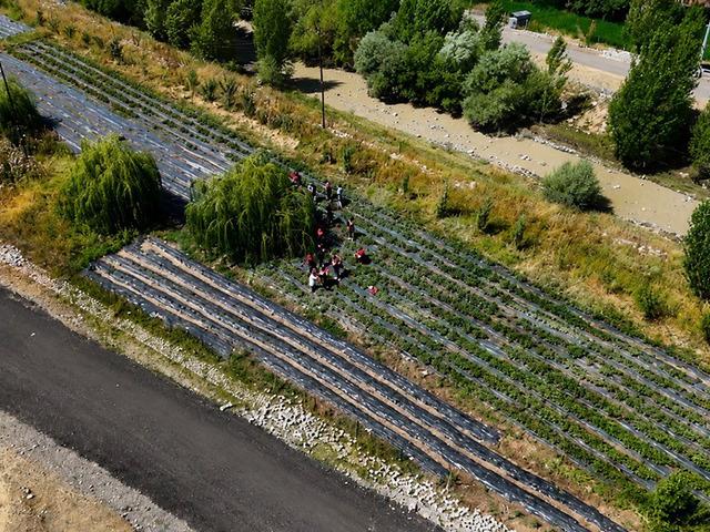 Olmaz denilen yerde fışkırdı: 'Parası &ccedil;ok iyi'