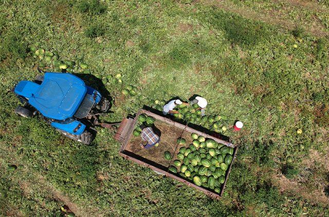 Olumsuz hava şartları karpuz fiyatlarını vurdu