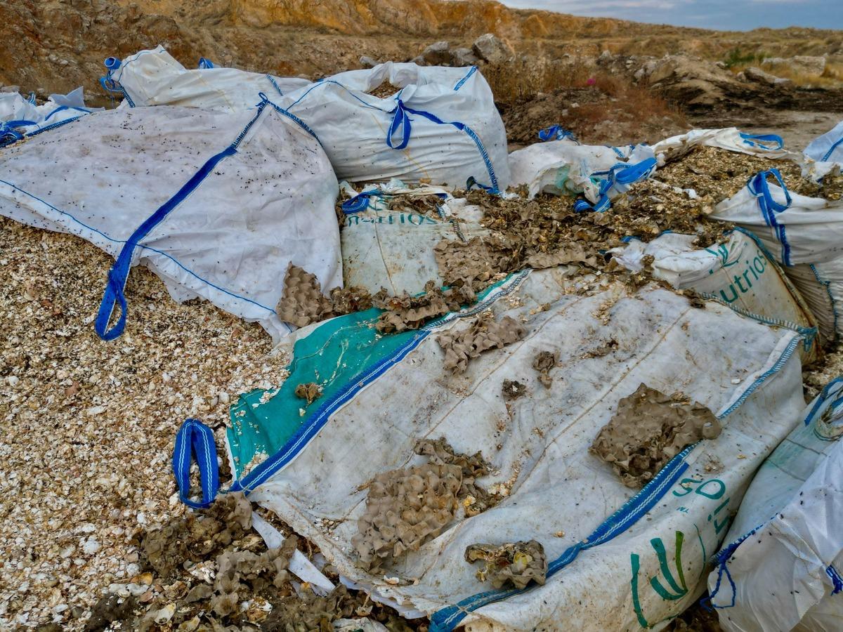 Bir ilçede çevre felaketi: Rüzgarla birlikte kokudan durulmuyor 2