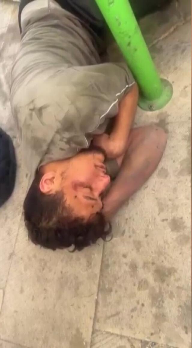 Sosyal medyada gördüler, hastane bahçesinde buldular! 15 gün sonra öldü 2