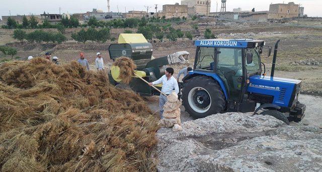 Vekillik bitince, köydeki tarla işlerine döndü