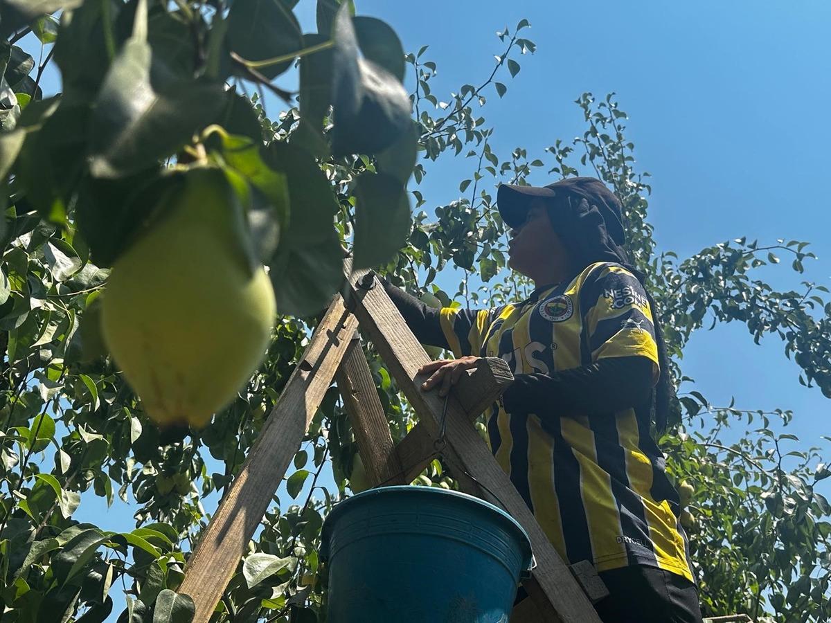 İtalyanlar zor diye bıraktı: Türkiye deki ilçe rekora gidiyor 4