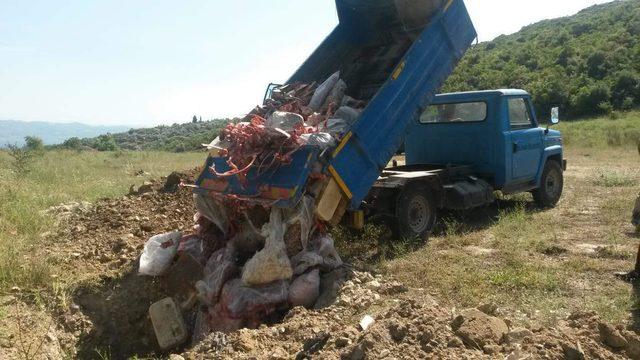 Dilovası'nda kaçak et operasyonu