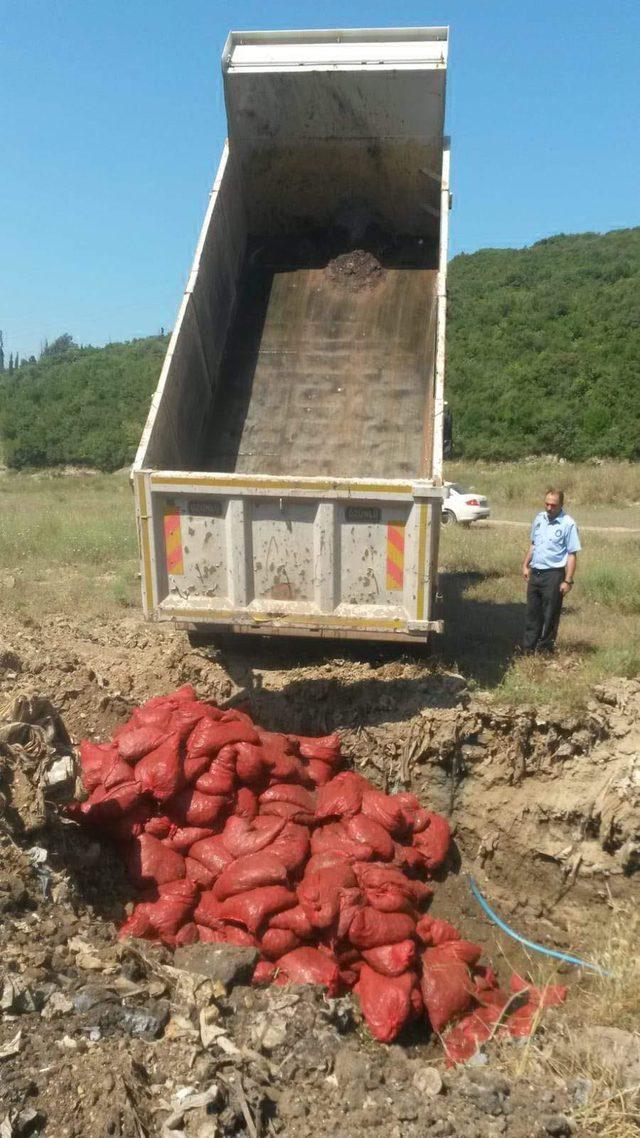 4 bin 125 kilo kaçak midye ele geçirildi