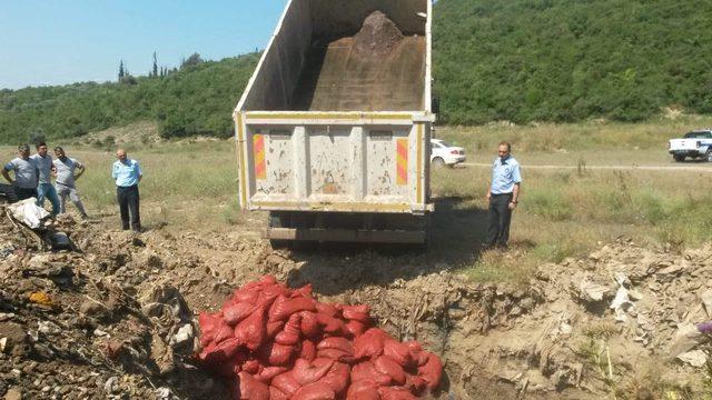 4 bin 125 kilo kaçak midye ele geçirildi