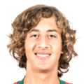 Fabio Silva