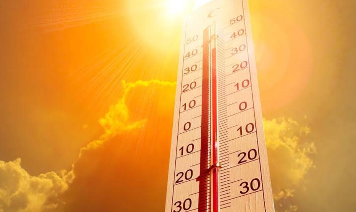 Kahve Fiyatını Brezilya’daki Hava Durumu Nasıl Değiştiriyor? 4
