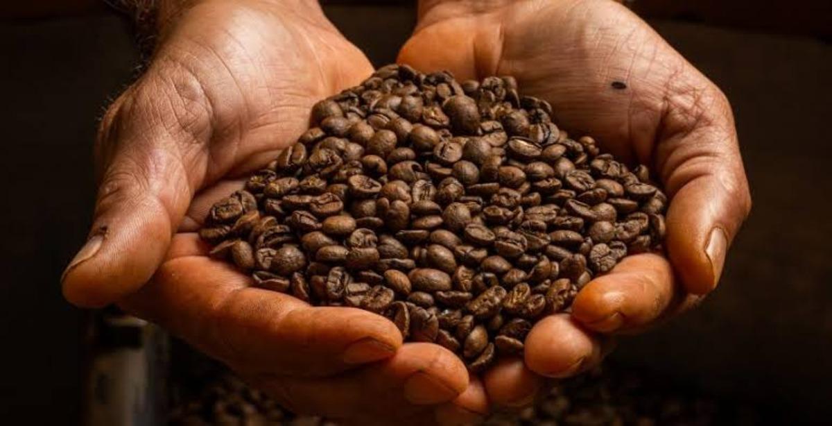 Kahve Fiyatını Brezilya’daki Hava Durumu Nasıl Değiştiriyor? 7