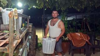 Gece bile mesai yaptılar: Yetiştirmek için ailece çalıştılar