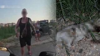 Antalya'da vahşet! Yavru köpeğin başını taşla ezerek öldürdü