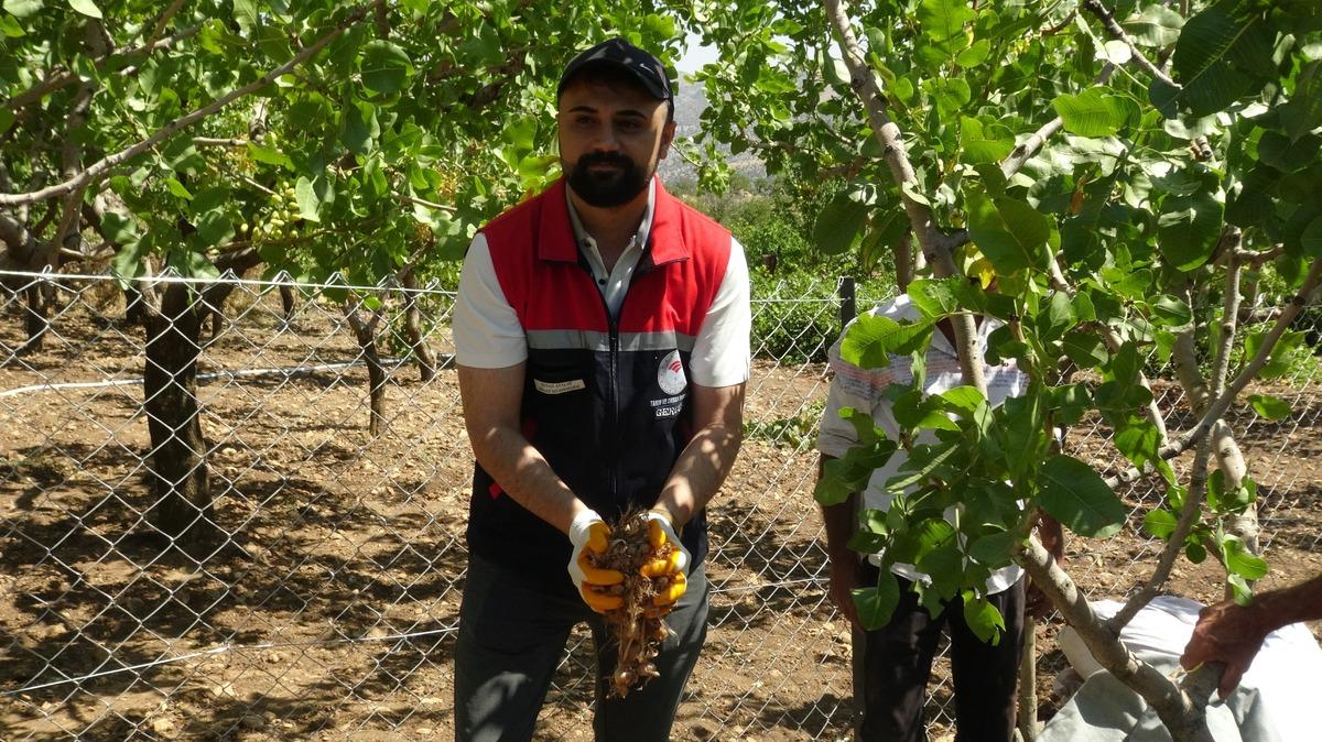 Fikri internette görüp başladığı işle 10 kat fazla getiri elde etti 3