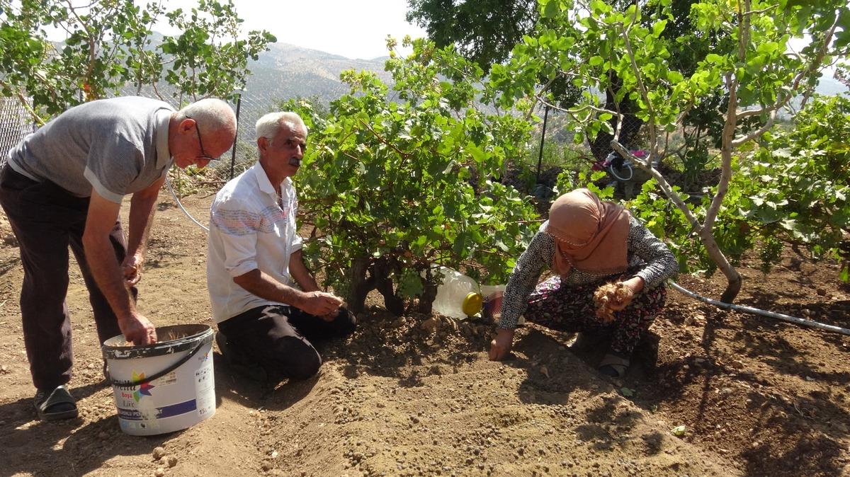 Fikri internette görüp başladığı işle 10 kat fazla getiri elde etti 2
