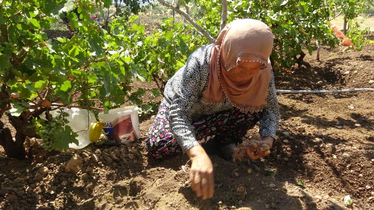 Fikri internette görüp başladığı işle 10 kat fazla getiri elde etti 5