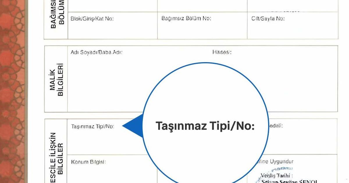 Tapu Bilgilerinizi e-Devlet Üzerinden Nasıl Görüntüleyebilirsiniz? 6