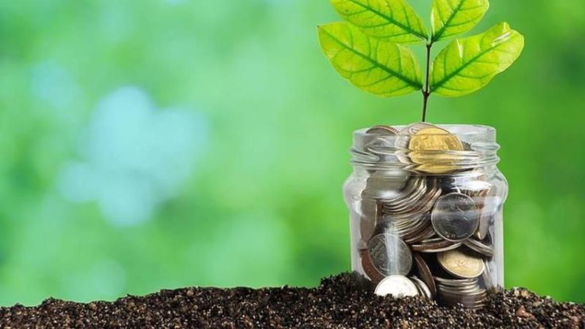 Döviz ve Altın Hesabında Ek Faiz Kazanılır mı? Nasıl Kazanılır? 1