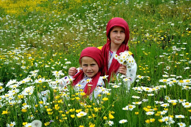 Karadeniz'de yaylalar rengârenk