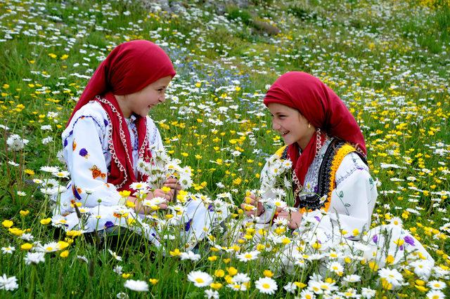 Karadeniz'de yaylalar rengârenk