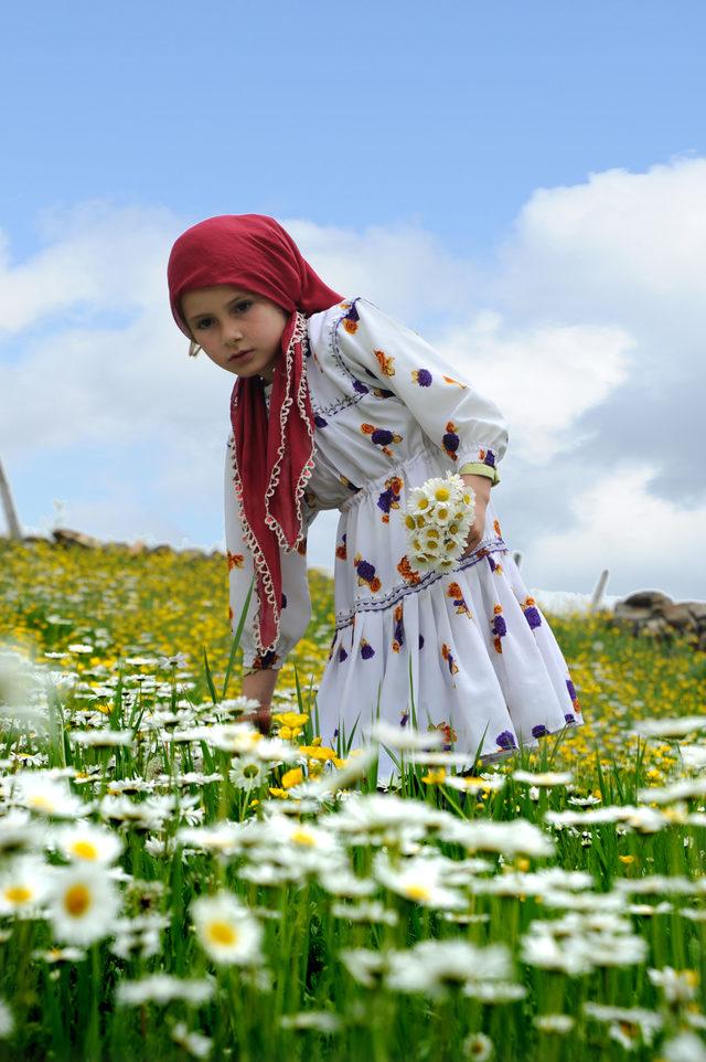 Karadeniz'de yaylalar rengârenk