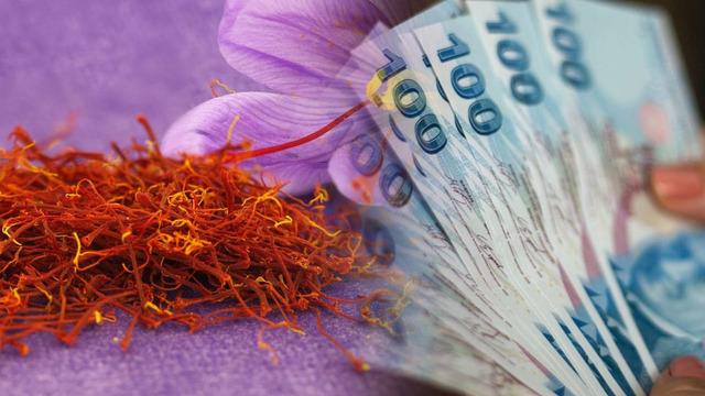 T&uuml;rkiye'nin toprağından &ccedil;ıkıyor: Kırmızı altın servet kazandırıyor