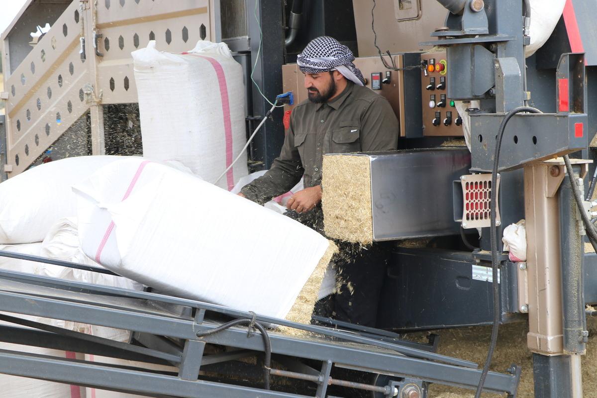 Ge&ccedil;en yıl 10 TL ydi, bu yıl 3 TL: Kış i&ccedil;in depoya koyacaklar 6
