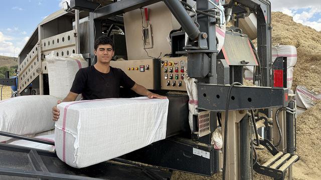 Geçen yıl 10 TL'ydi, bu yıl 3 TL: Kış için depoya koyacaklar