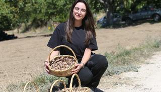 Karab&uuml;k'te safran soğanı toprakla buluştu