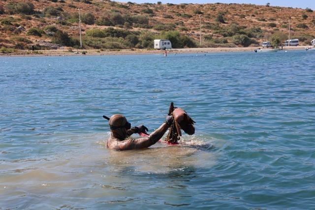 Gümbet’te deniz dibinden 310 kilogram atık çıktı 3
