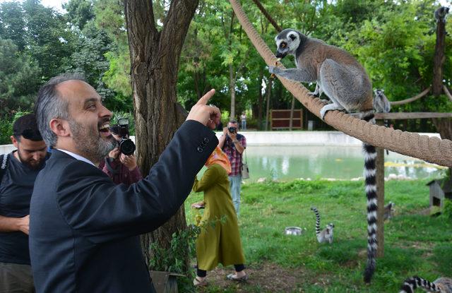 Bursa Zoo nun yeni konukları gergedanlar 3