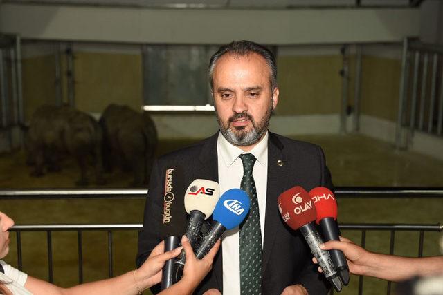 Bursa Zoo nun yeni konukları gergedanlar 4