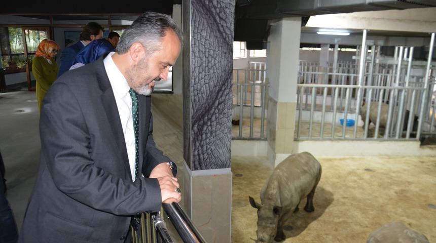 Bursa Zoo'nun yeni konukları gergedanlar