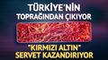 T�rkiye'nin topra��ndan ��k�yor: 