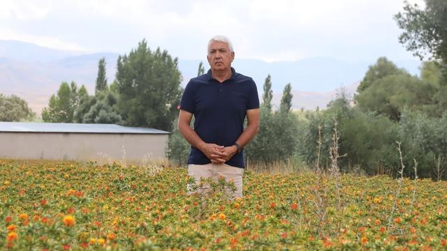 35 yıl memurluk yaptı, emekli olunca bunu ekmeye başladı! Faydaları saymakla bitmiyor