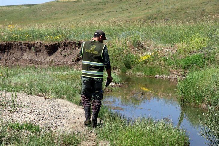 Ağrı'da kaybolan minik Leyla'yı bulmak için avcılar Batman'dan Ağrı'ya geldi G2