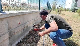Okul bah&ccedil;esini sularken buldular! Et verip beslediler