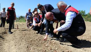 Tarladan servet &ccedil;ıkıyor! Kilosu 600 bin liralık &uuml;r&uuml;n&uuml;n dikimi başladı