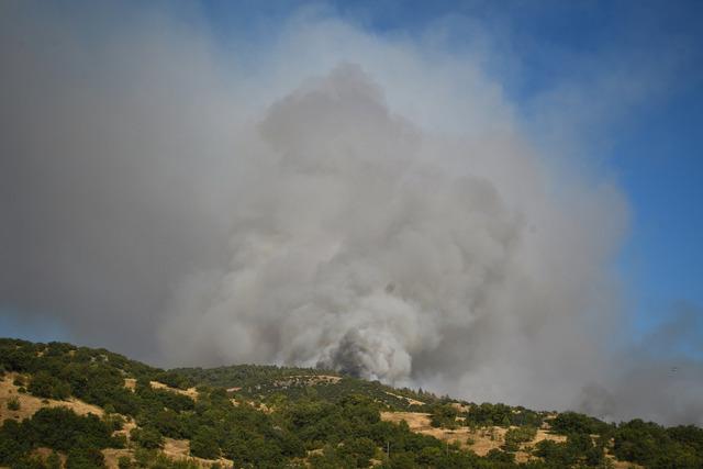 Balıkesir in Sındırgı ilçesinde ormanlık alandaki yangın kontrol altına alındı 15