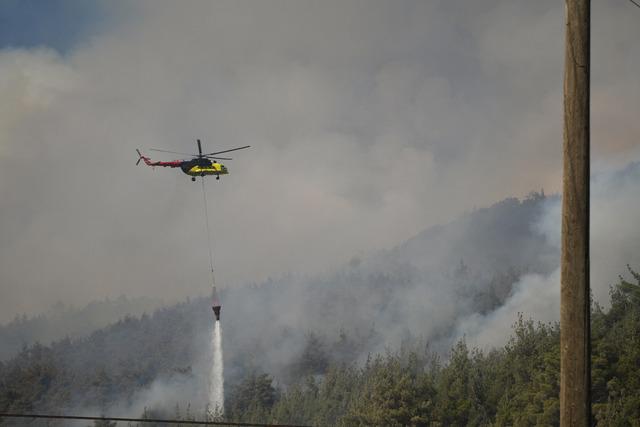 Balıkesir in Sındırgı ilçesinde ormanlık alandaki yangın kontrol altına alındı 13