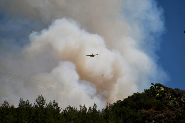 Balıkesir in Sındırgı ilçesinde ormanlık alandaki yangın kontrol altına alındı 1
