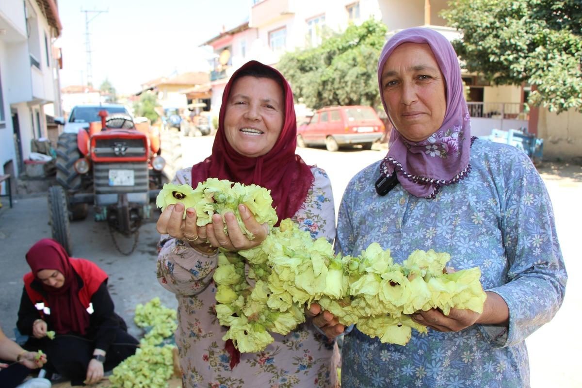 Tarlada adeta para yetişiyor! Kilosu 1.400 TL, alıcısı kapıya kadar geliyor 1
