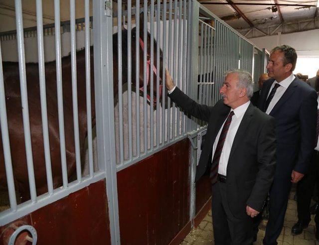 Kayseri'de Atlı Polis Grup Amirliği açıldı