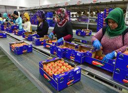 Batı Akdeniz cari açığı yendi