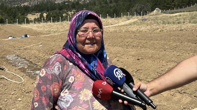 Kilosu 650 bin TL&rsquo;den satılan safran toprakla buluştu 6