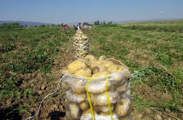 Çuval çuval yola çıktı, fiyatlar düşecek!  G1