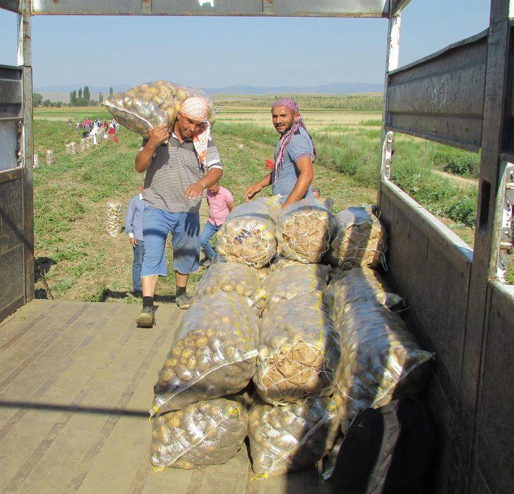 Çuval çuval yola çıktı, fiyatlar düşecek!  G4