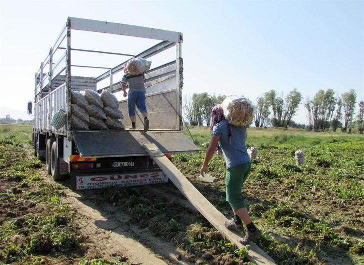 Çuval çuval yola çıktı, fiyatlar düşecek!  G5