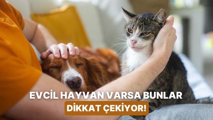 Evcil hayvanı olanların evine gelen misafirlerin hemen fark ettiği 10 detay